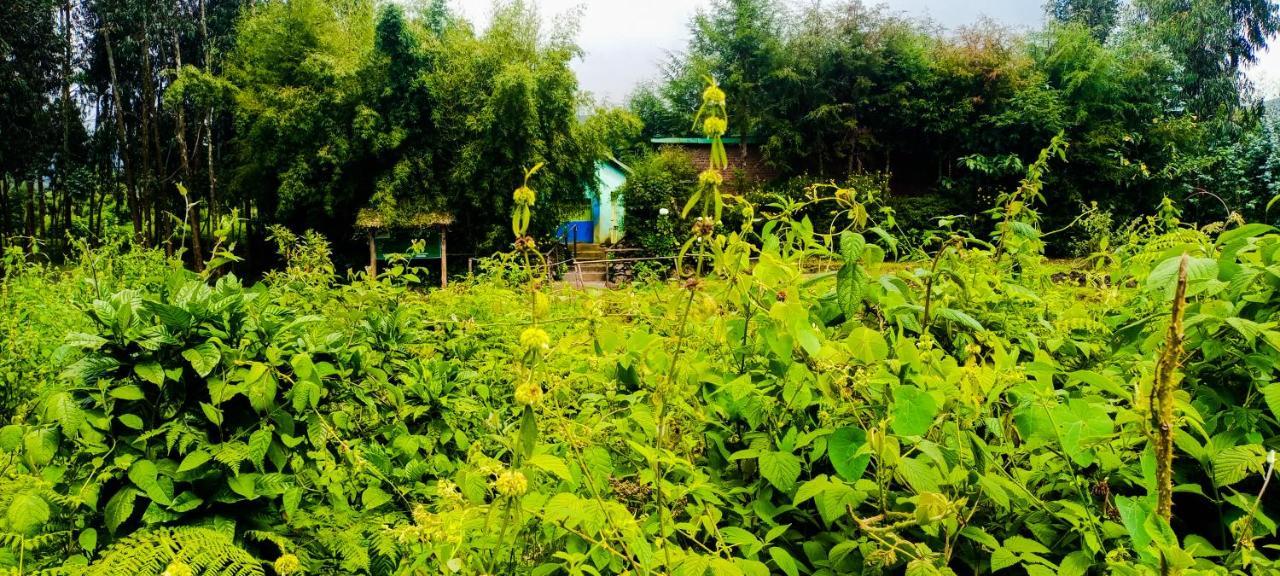 Under Volcanoes View Guest House Nyarugina Экстерьер фото